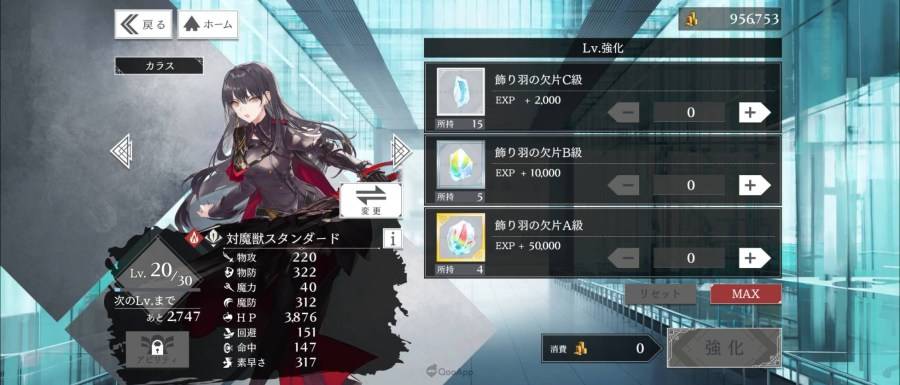 297906