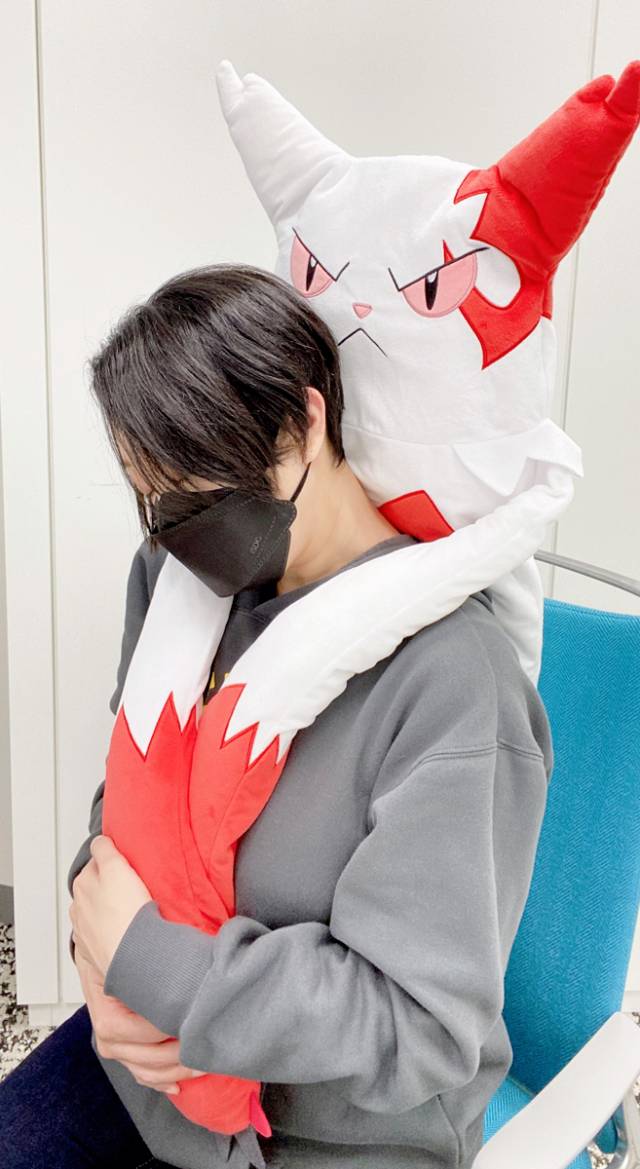 给你大大的拥抱！ 《宝可梦中心》推出「Hug You」环抱宝可梦抱垫娃娃
