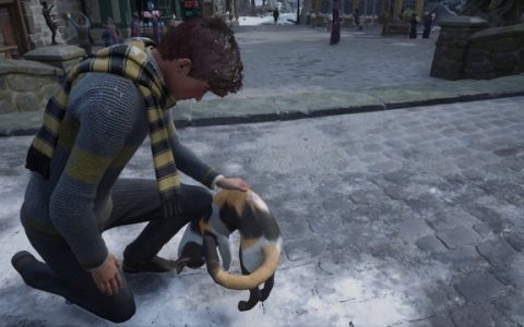 原来《霍格华兹的传承》的猫猫本来也可以施展索命咒？ 开发团队你是说认真的吗？