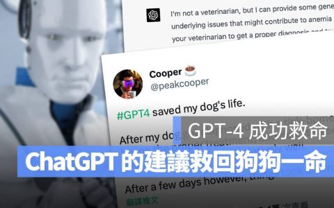 用 ChatGPT 救命！ GPT-4 给出正确医疗建议，成功救回一条狗狗生命