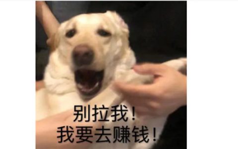 急招 分拣员 日结200元(真实情况是怎样的呢)