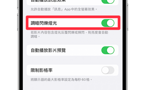 iPhone 调暗闪烁灯光功能：自动调暗影片闪烁灯光以减缓强光刺激