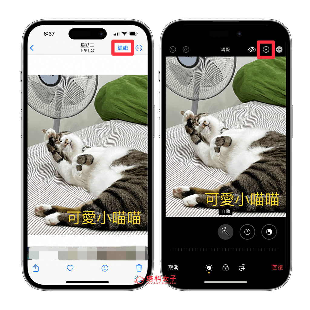 iPhone 照片加文本教学，使用内置 iPhone 照片编辑文本功能 （免下载App）
