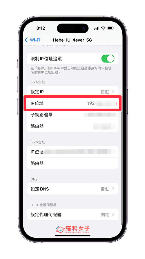 iPhone IP 查询：查看 IP 地址