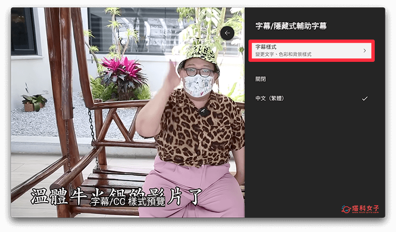 调整 Apple TV YouTube 字幕大小：字幕样式