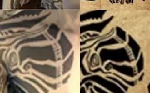 《上古卷轴Online》未经授权使用玩家创作，被抓包后与作者诚意沟通试图解决