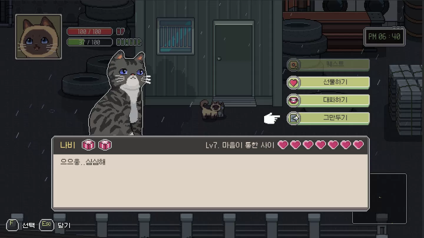 《流浪猫的故事 2》好评猫咪冒险衍生续篇发表，帮助迷失小猫找到回家的路