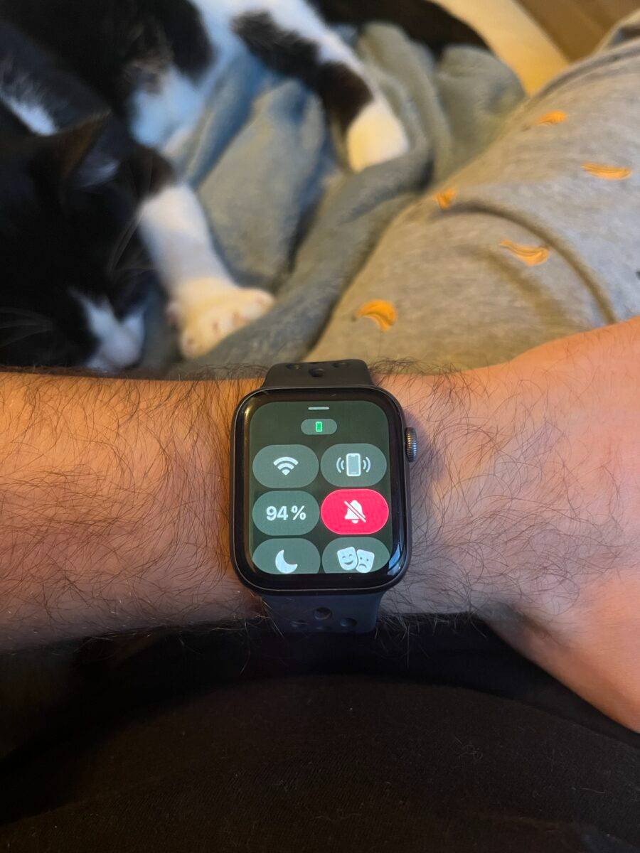 Apple Watch watchOS 9.5 watchOS 灾情 更新灾情