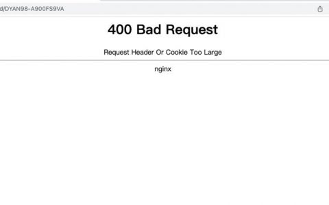 如何修复浏览网页时，出现的400 Bad Request错误状态