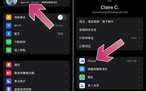如何清除 iPhone 或 iPad 上的应用程序数据？