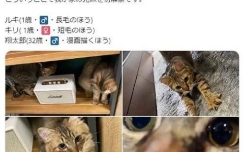 日本漫画家休刊理由越来越神奇 但今次网友竟表示理解