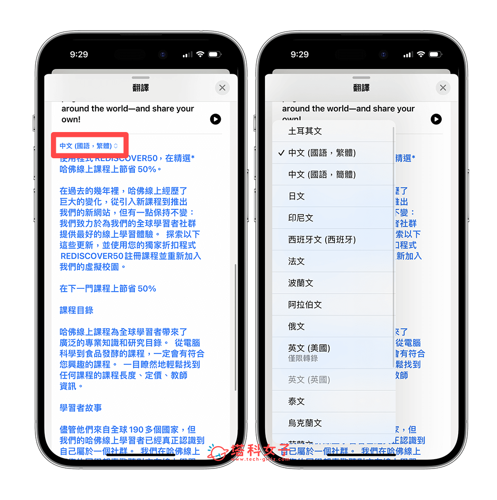 更改 iPhone 邮件翻译语言
