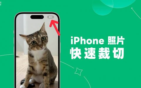 iPhone 照片裁切功能可快速裁切 iPhone 照片并选择照片比例 （iOS17）