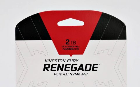 Kingston FURY Renegade NVMe PCIe 4.0 SSD 2TB 生而狂野不羁 稳定高效读写表现