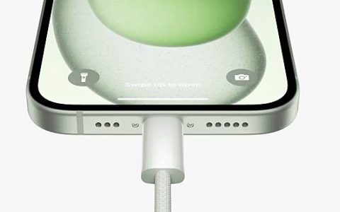 iPhone 15 错误地反向 USB-C 充电宝充电 外媒：疑反向充电功能导致