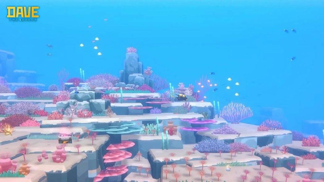 丰富的水下世界