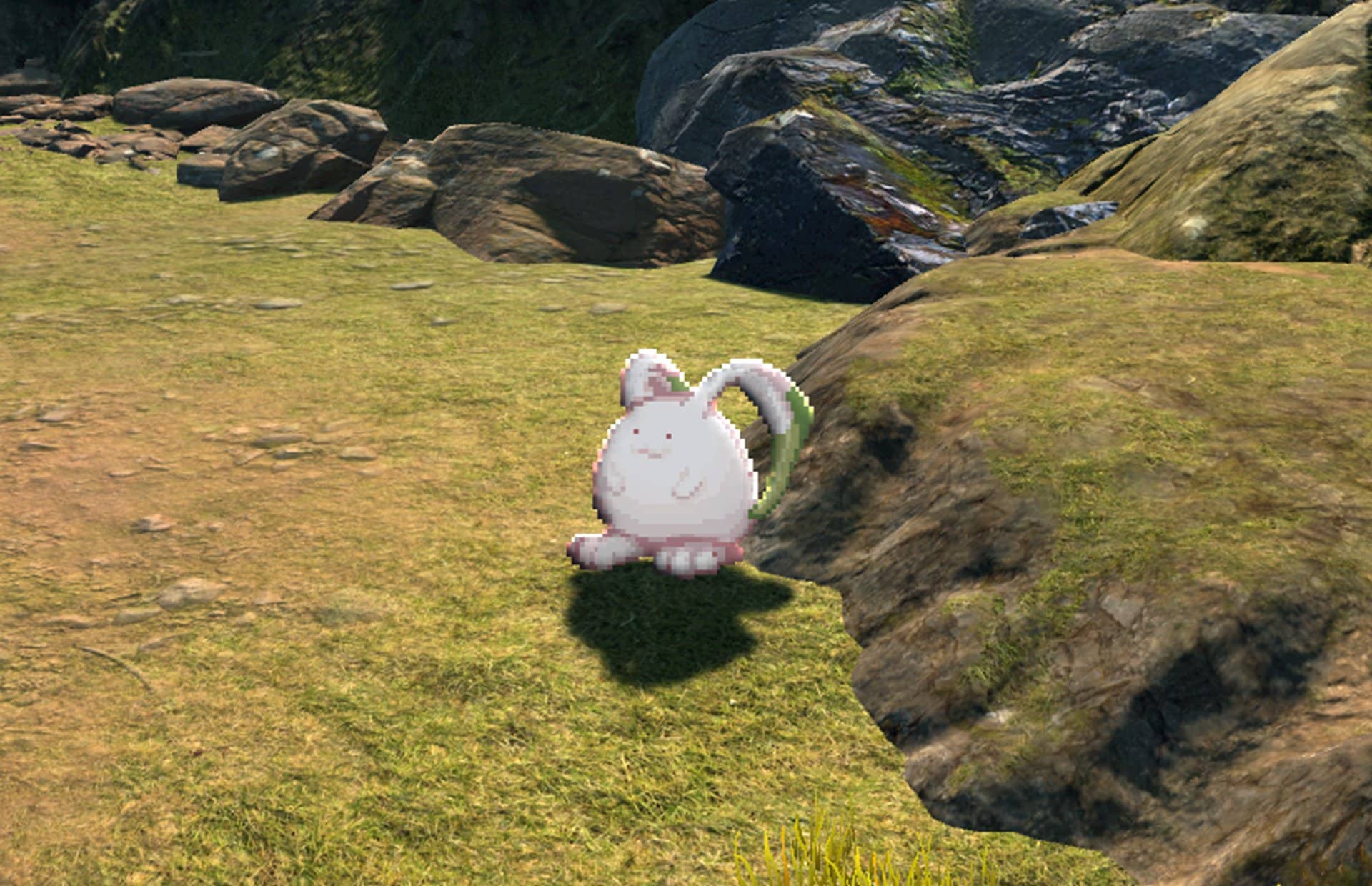 Bunny_01