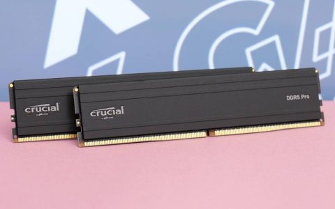 平价入门 DDR5 内存来了！ 美光 CRUCIAL PRO DDR5-5600 内存
