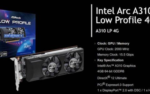 擎推出Arc A310 Low-Profile显卡、拥有6个Xe核心和4GB GDDR6内存