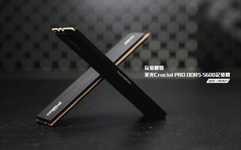 轻松升级DDR5世代 美光 Micron Crucial PRO DDR5-5600 16G*2 桌上型内存 玩家体验！