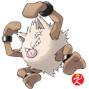 宝可梦 朱/紫 DLC「零之秘宝」《前篇：碧之假面》-北上乡宝可梦全图鉴：火爆猴