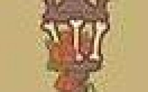 动物餐厅最新兑换码总整理！ 序号的使用期限、条件一览！