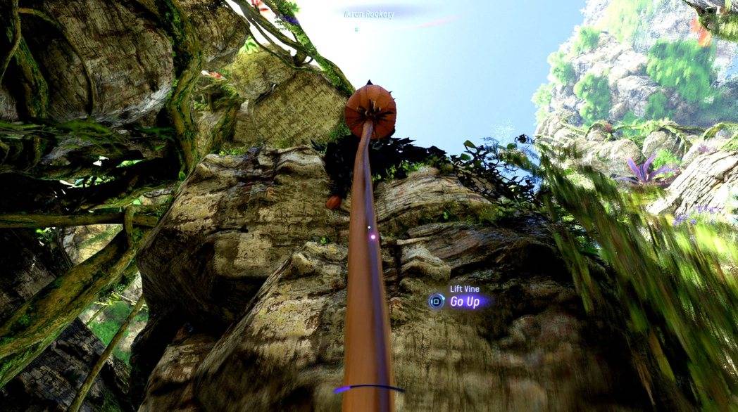 爬山时不时还会爬藤蔓。