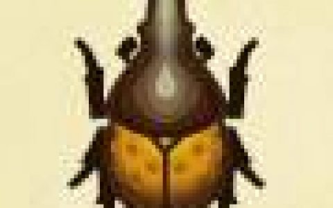 动物森友会|快速赚钱！ 7 大种类、16 个方法，赚取千万走向财务自由（2023 更新）