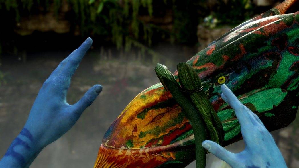 恭喜驯服伊卡兰！