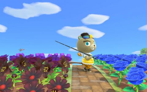 动森攻略|全部特殊商人「NPC」图鉴，来岛条件及出现时间完整信息