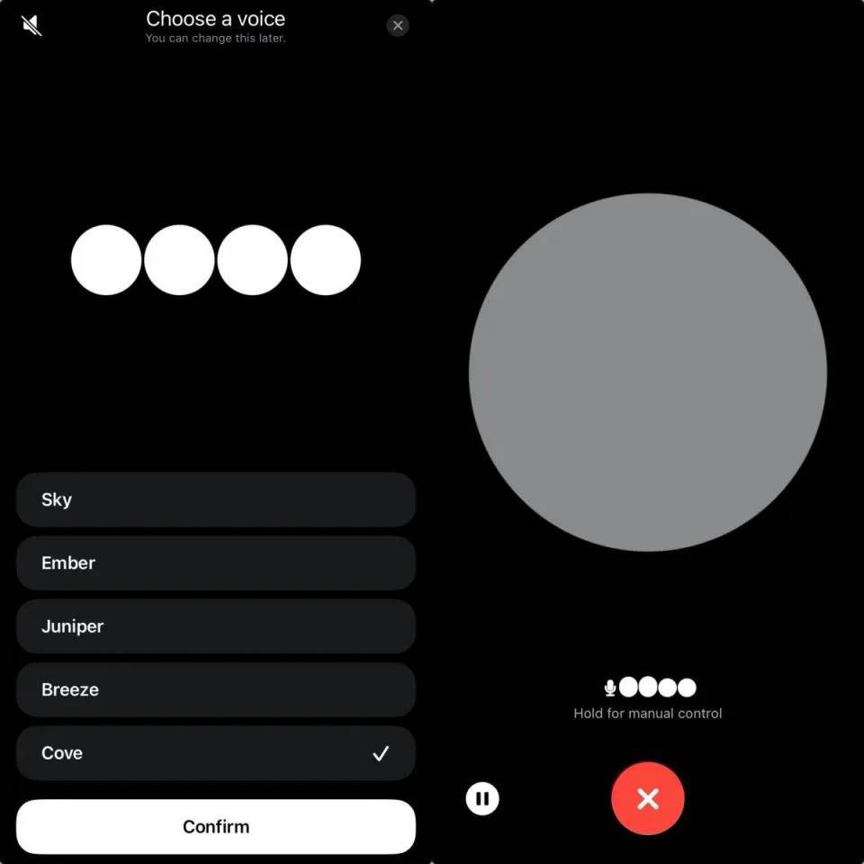 第一次使用ChatGPT語音模式時,系統會跟你確認偏好的語音模型。圖片來源:CaVa