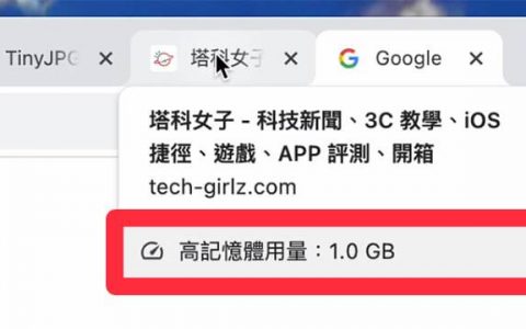 Google Chrome 标签内存用量怎么看？ 这招查询各分页内存使用情况