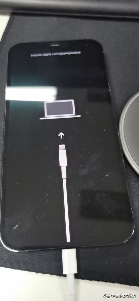iphone 12 pro max白苹果怎么办(苹果12白苹果的简单修复方法)