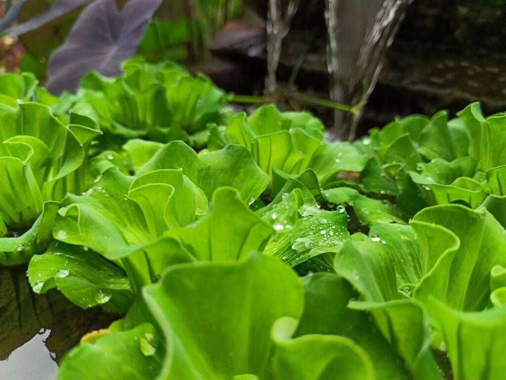 Infinix Zero 30 5G测评：中档手机新巅峰！性能卓越+相机出众+电池持久！