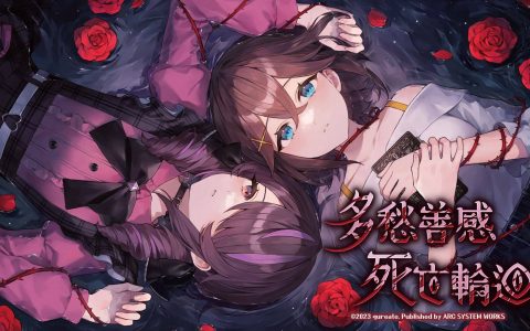 《多愁善感死亡轮回》将推出中文实体盒装版