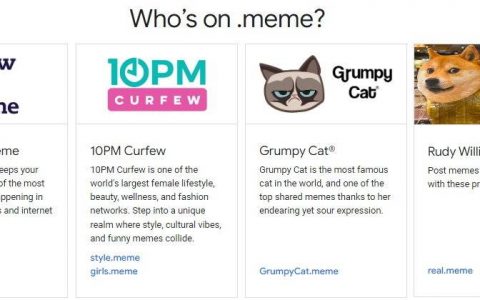 Google推出.meme最新顶层域名