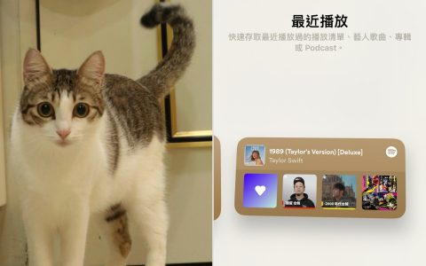 如何在 iPhone 上新增空白壁纸？ 四个步骤教你快速搞定
