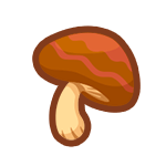 品鲜蘑菇