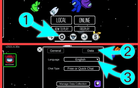 Among Us 太空狼人杀 iPhone 怎么输入中文？ iOS 中文版教学