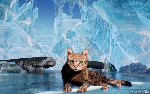 魔法喵探索神秘岛，Steam开放世界动作冒险《超级猫咪模拟》募资上线