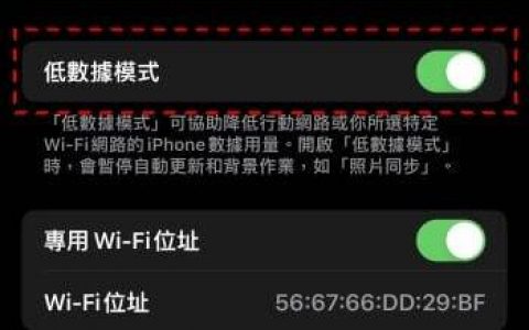 iPhone 低数据模式是什么？ 开启有什么好处？ 如何开启？