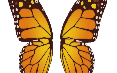 《时尚造梦》免费更新第一弹「冬季更新」将于 12/5 上线