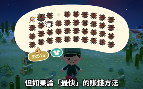 动物森友会快速还债技巧，一趟能赚46万！ 自制狼蛛岛教学 / 捕捉狼蛛技巧