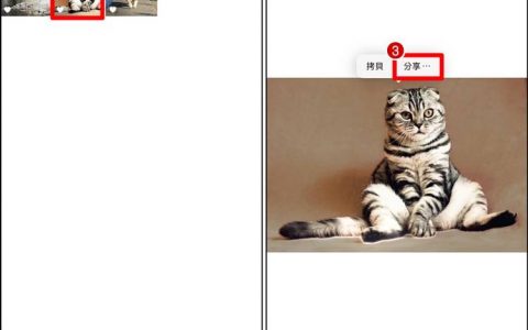 iOS17一键快速去背教学！ 人物去背功能、分享照片