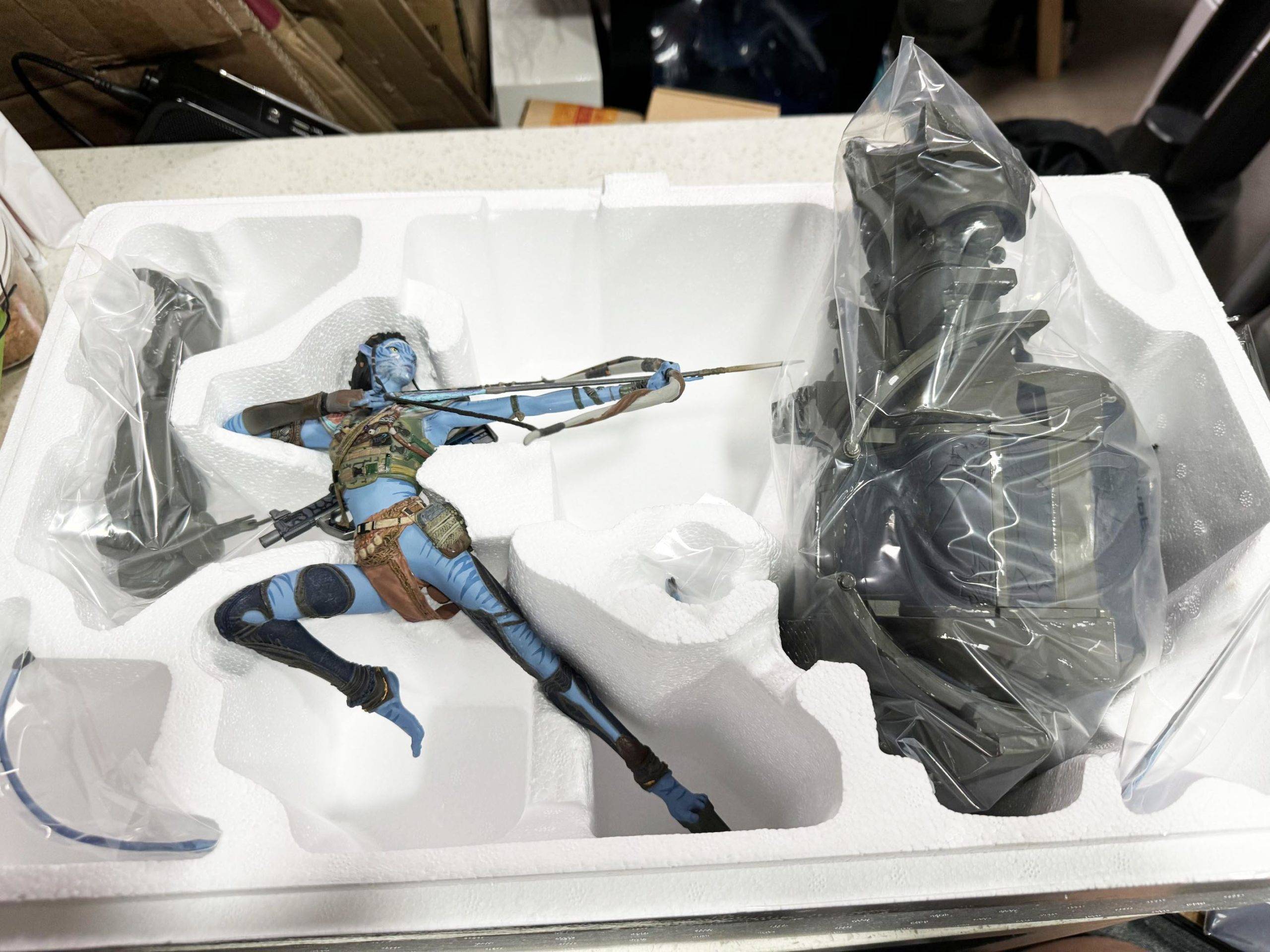 《阿凡达:潘多拉边境 》典藏版开箱 超细致的纳美人模型!