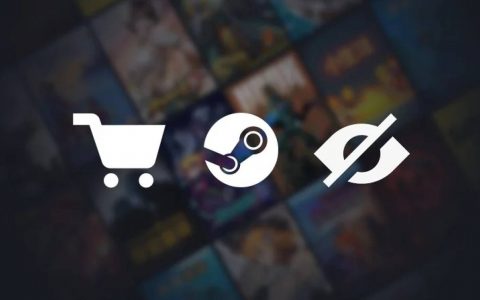 Steam 测试版实装「私人」状态功能，再也不怕开黄油弹通知了！