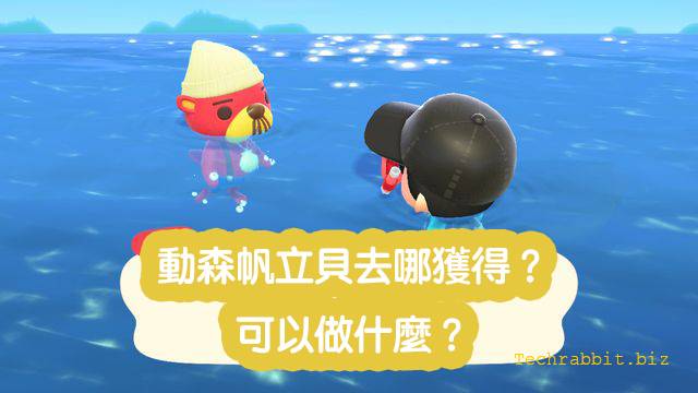 動森帆立貝去哪獲得?可以做什麼?(動森教學) 动森帆立贝