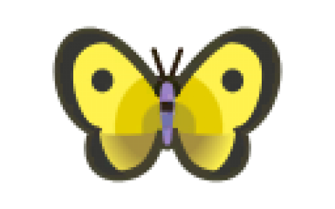 动森七月份的虫鱼变动