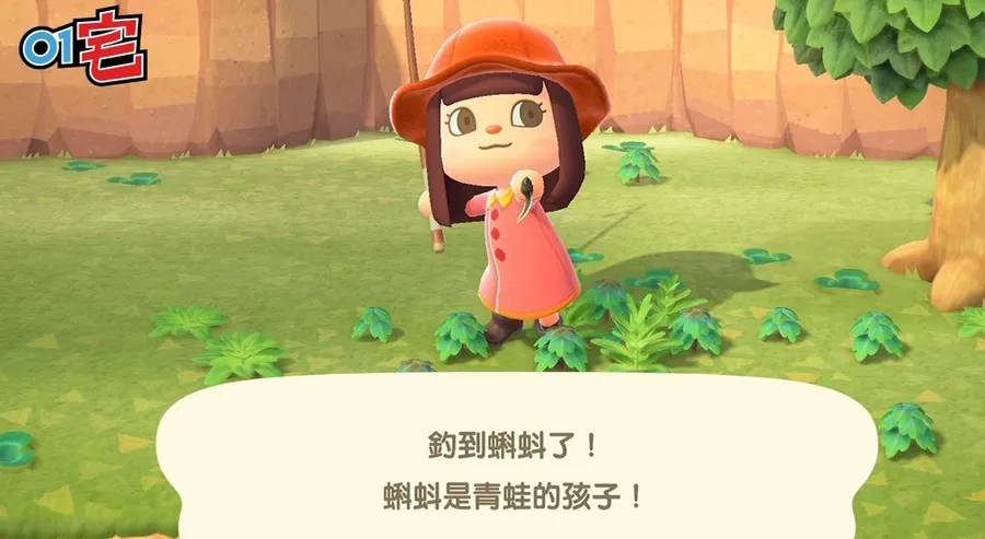 《集合啦! 动物森友会》新手功略9.jpg