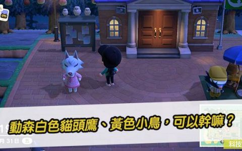 动森白头鹰、黄色小鸟，可以干嘛？ 布告栏上的小鸟能抓吗？